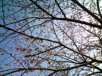 10.03.22.2.jpg