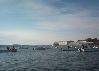 11.01.09.1.jpg