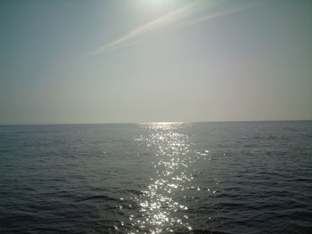 11.04.30.2.jpg
