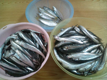 11.06.28.4.jpg