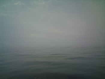 11.07.03.1.jpg