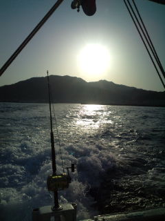 20110414063930.jpg