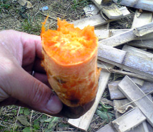 yakiimo2.jpg